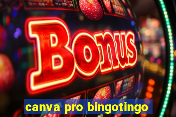 canva pro bingotingo